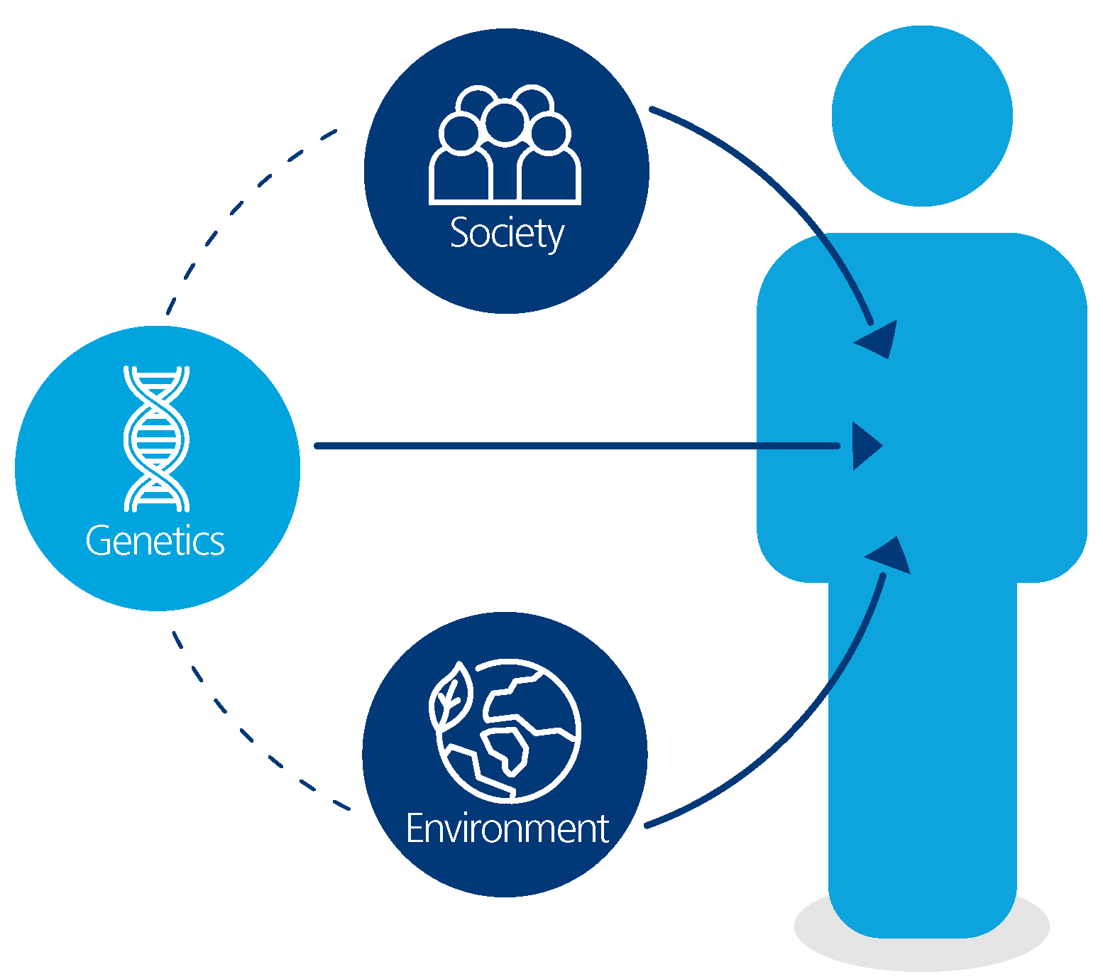 Main factors. Obesity Factors.