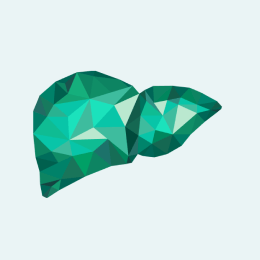 Liver icon