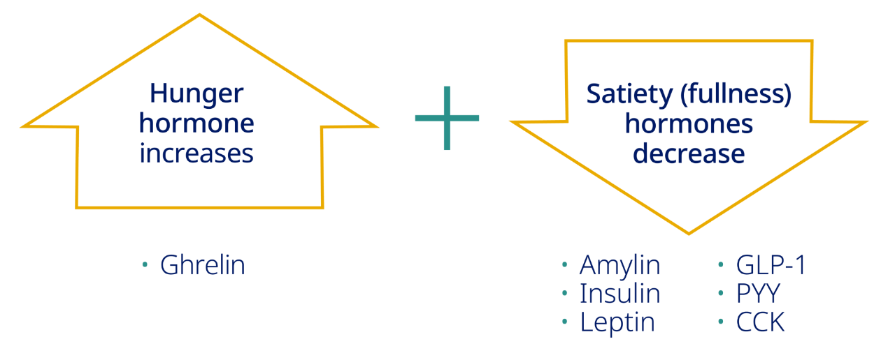 Graph depicting increase in the hunger hormone increasing and  decrease in satiety (fullness) hormones