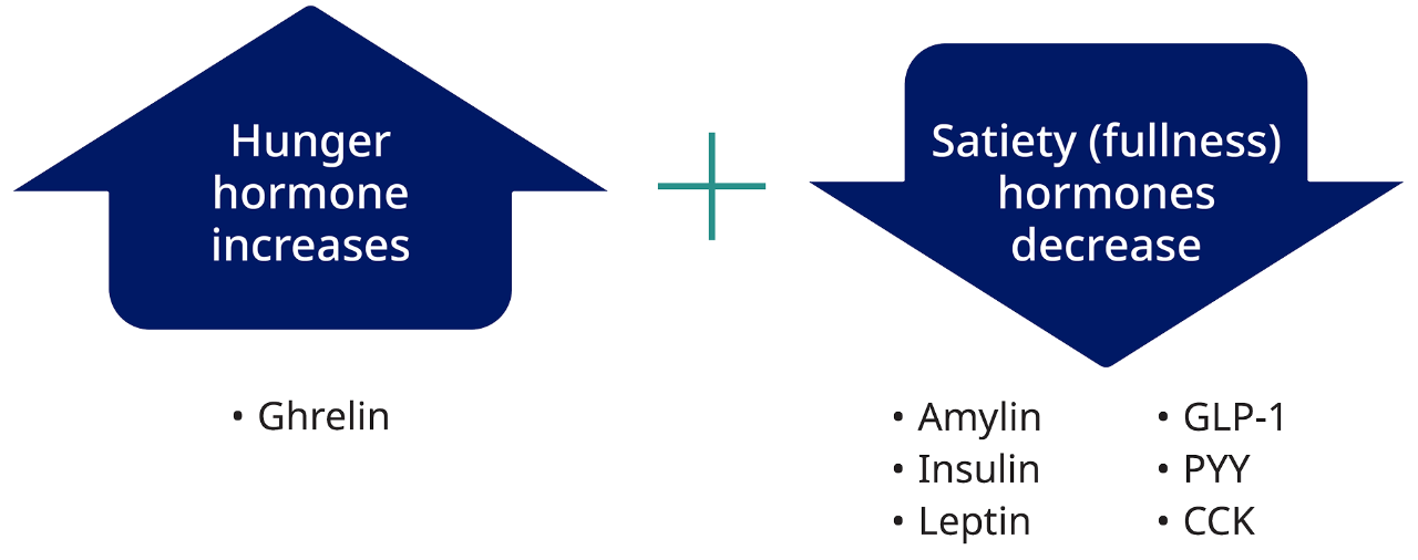 Graph depicting increase in the hunger hormone increasing and  decrease in satiety (fullness) hormones